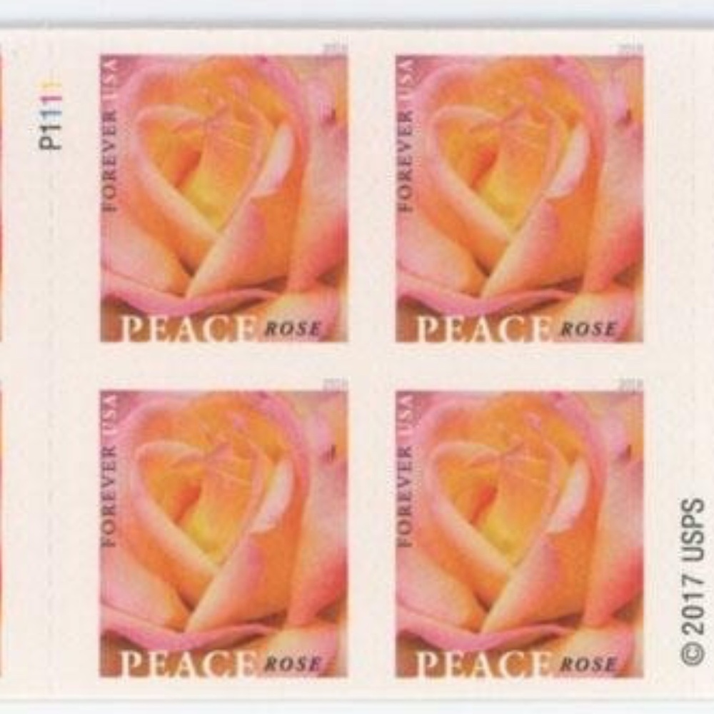 US SCOTT 5280a BOOKLET OF 20 PEACE ROSE Stamps 205430202127